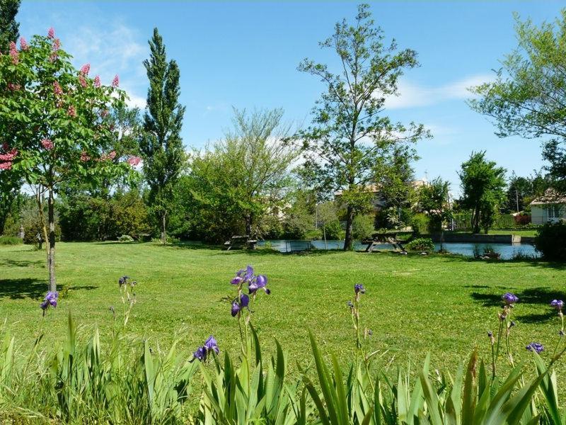 Bed and Breakfast Mas Le Pont des Aubes LʼIsle-sur-la-Sorgue Exterior foto