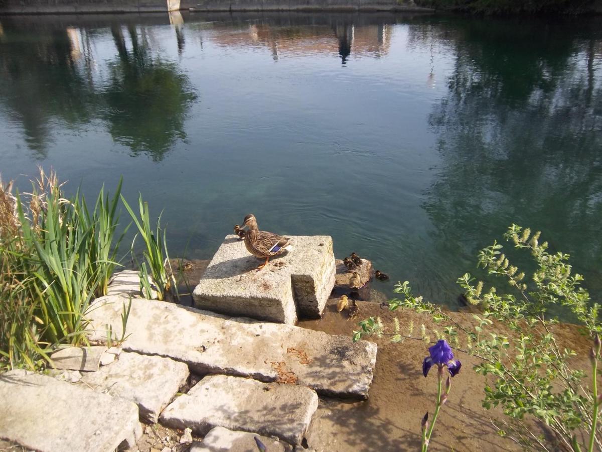 Bed and Breakfast Mas Le Pont des Aubes LʼIsle-sur-la-Sorgue Exterior foto